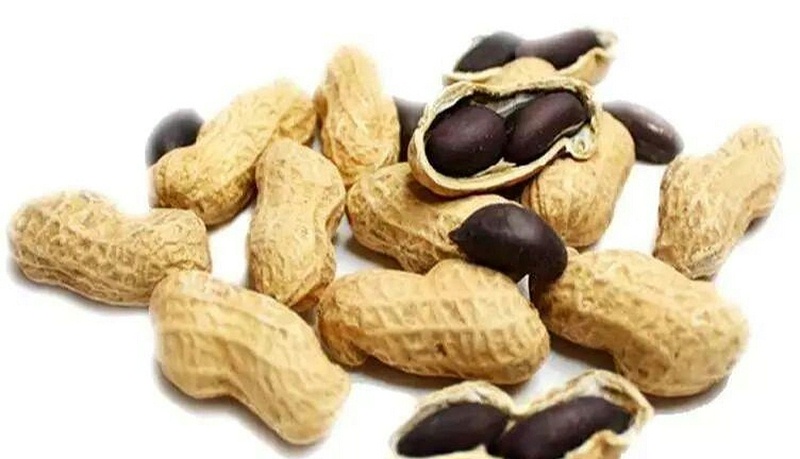 森林老爹坚果代工厂坚果批发坚果贴牌代加工