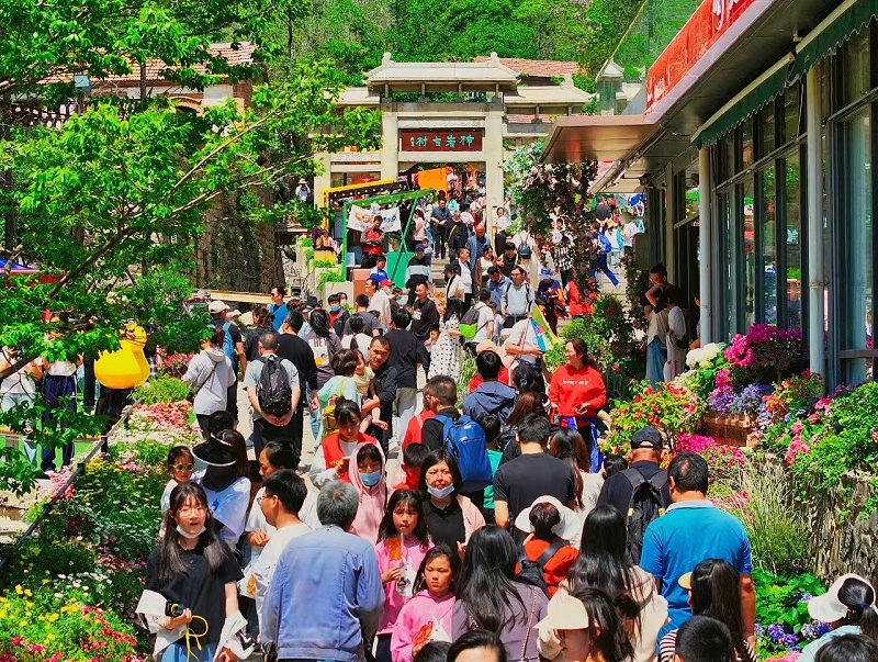 森林老爹坚果加工厂专业坚果代加工