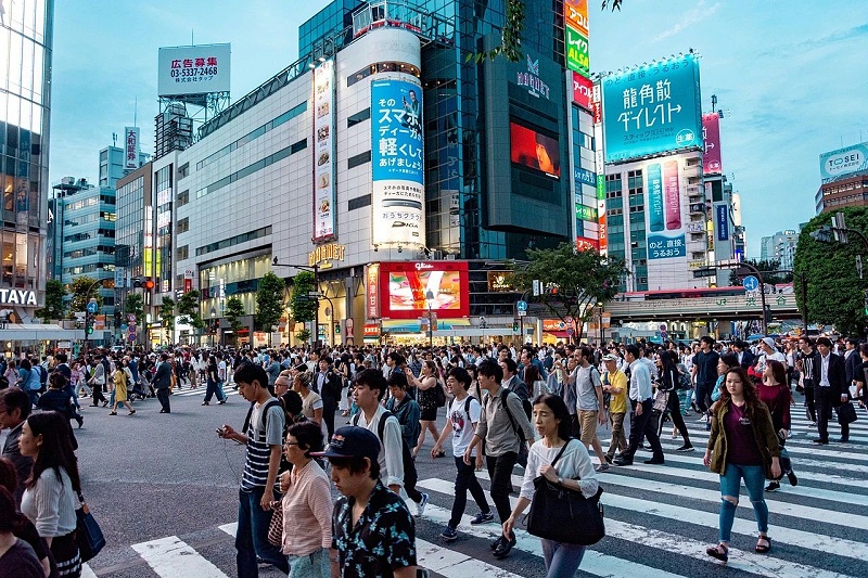 森林老爹坚果加工厂浅谈人口是如何影响我们的经济发展和政策的