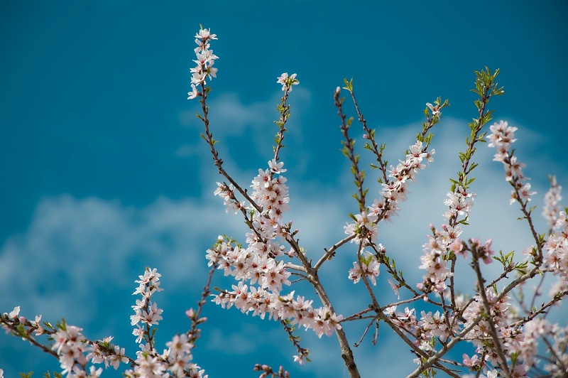 森林老爹坚果代工厂坚果贴牌代工